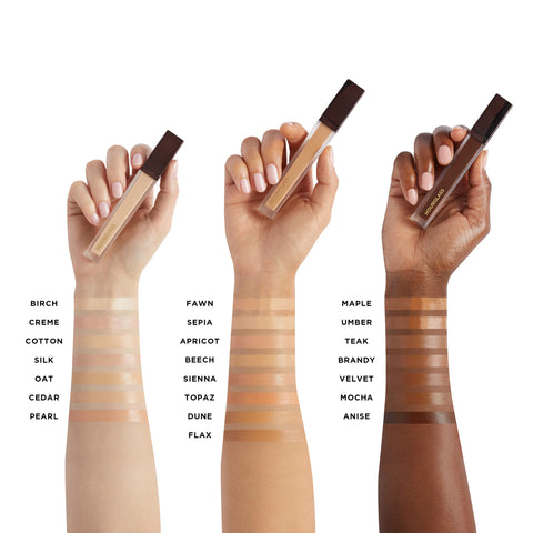 Vanish Concealer + Brush Duo